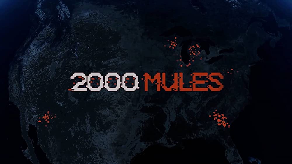 Watch 2000 Mules