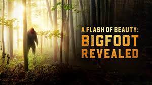 Watch A Flash of Beauty: Bigfoot Revealed