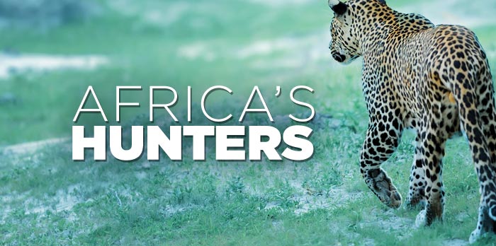 Watch Africa's Hunters - Season 1