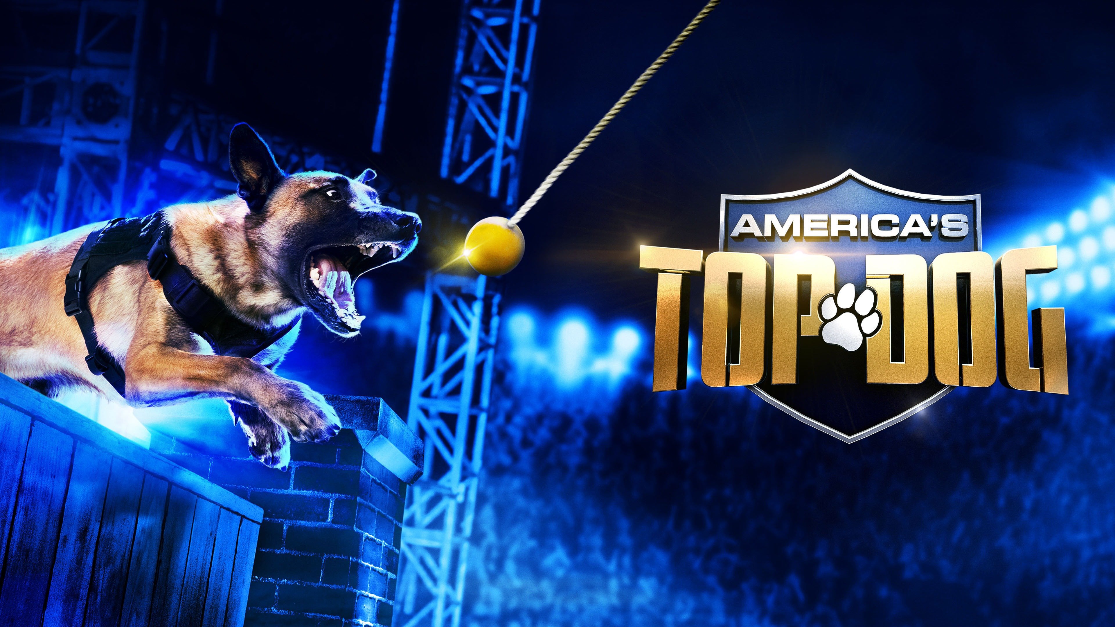 Watch America's Top Dog - Season 1