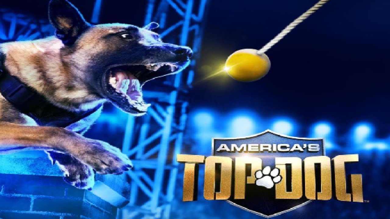 Watch America's Top Dog - Season 2