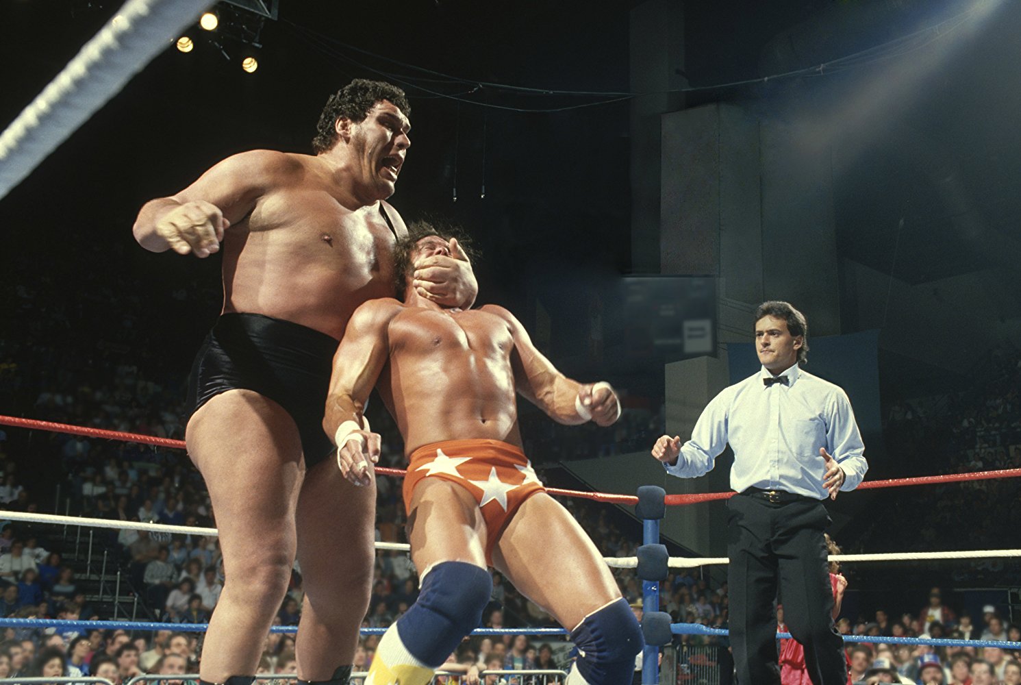 Watch Andre the Giant