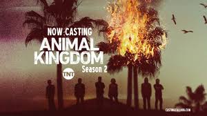 Watch Animal Kingdom - Season 2