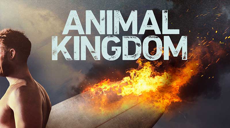 Watch Animal Kingdom - Season 4
