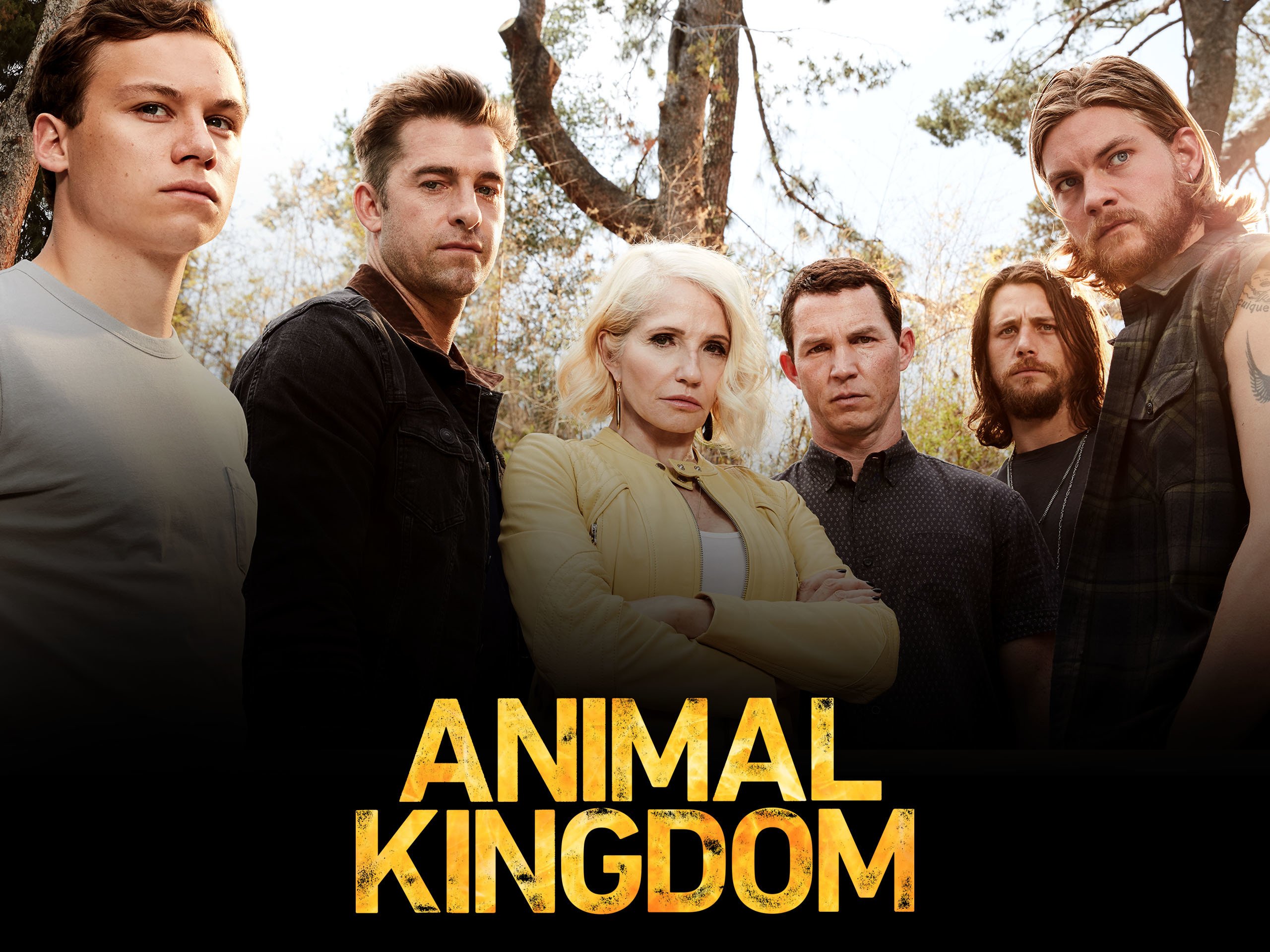 Watch Animal Kingdom - Season 5