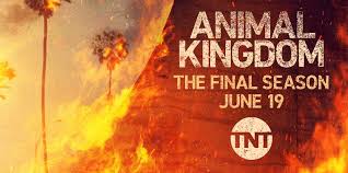Watch Animal Kingdom - Season 6