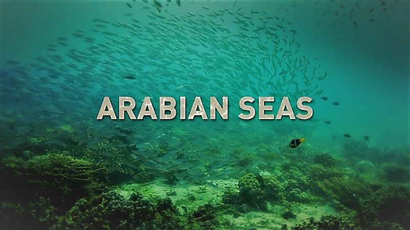 Watch Arabian Seas - Season 1