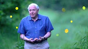 Watch Attenborough's Life That Glows