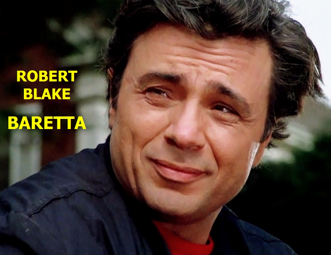 Watch Baretta - Season 1