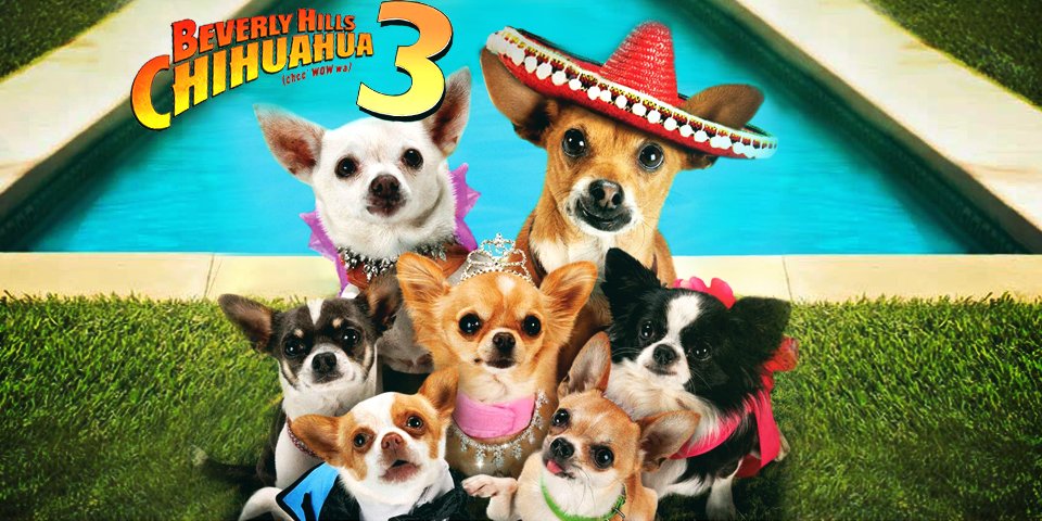 Watch Beverly Hills Chihuahua 3: Viva la Fiesta!
