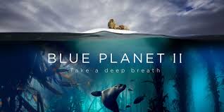 Watch Blue Planet II - Season 1