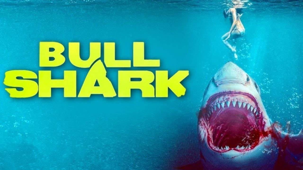 Watch Bull Shark