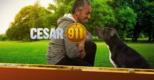 Watch Cesar 911 season 1