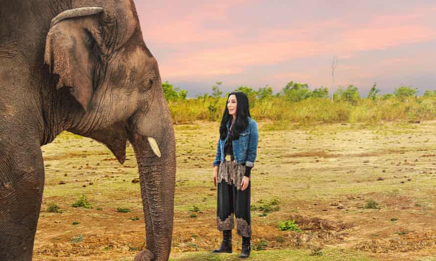 Watch Cher and the Loneliest Elephant