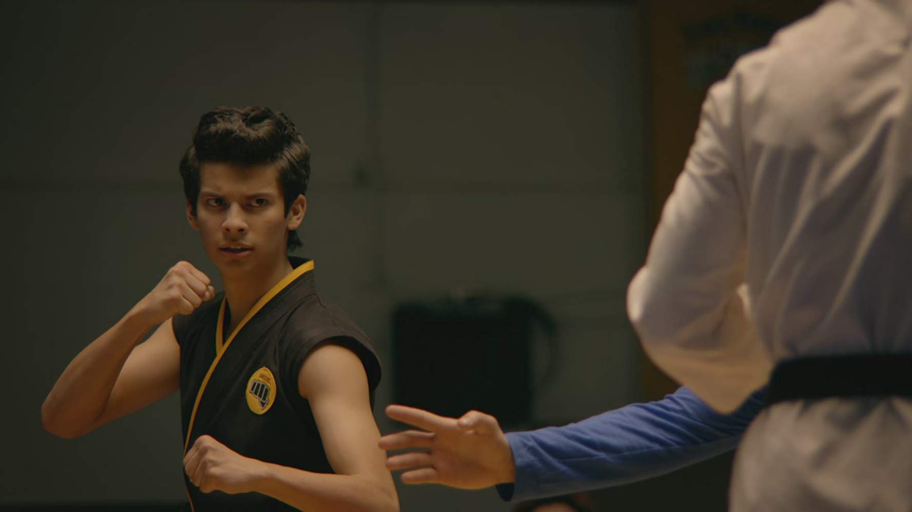 Watch Cobra Kai - Season 2