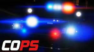 Watch Cops - Season 10