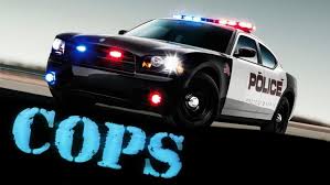 Watch Cops - Season 21