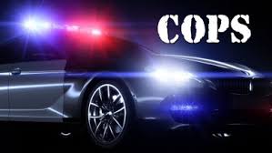 Watch Cops - Season 32