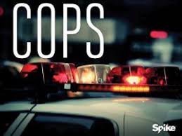 Watch Cops - Season 5