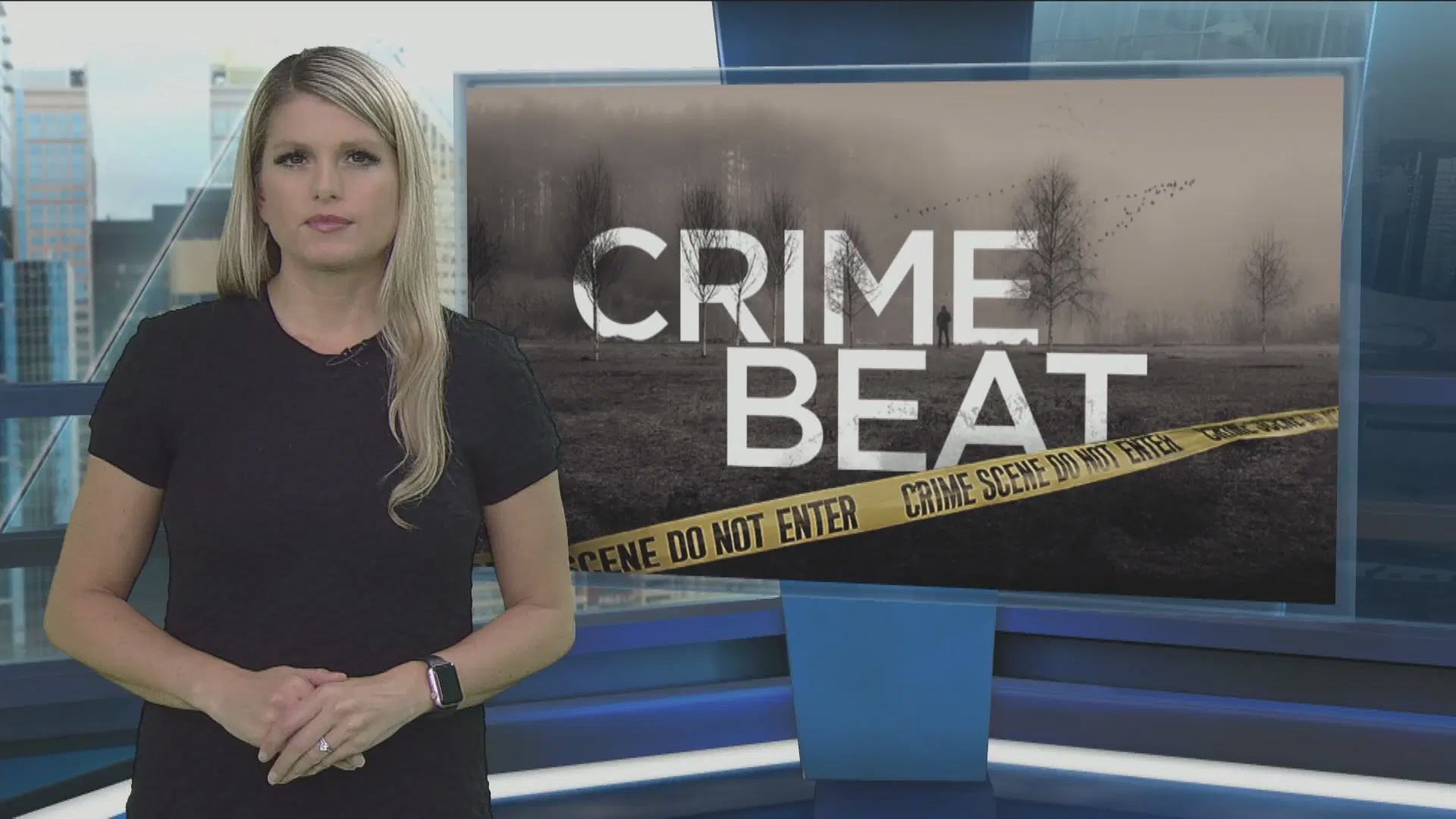 Watch Crime Beat - Season 1