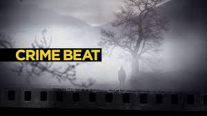 Watch Crime Beat - Season 4