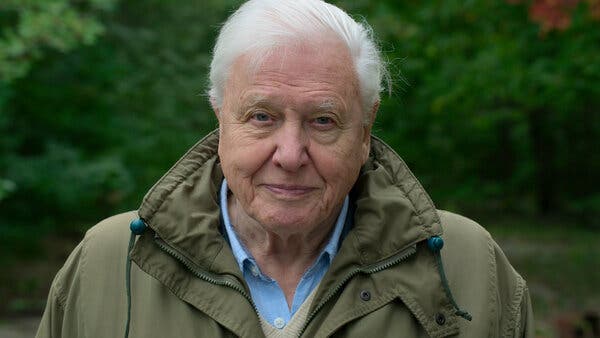 Watch David Attenborough: A Life on Our Planet