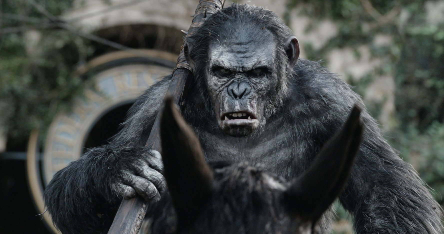Watch Dawn Of The Planet Of The Apes