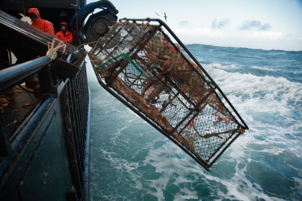 Watch Deadliest Catch - Season 13