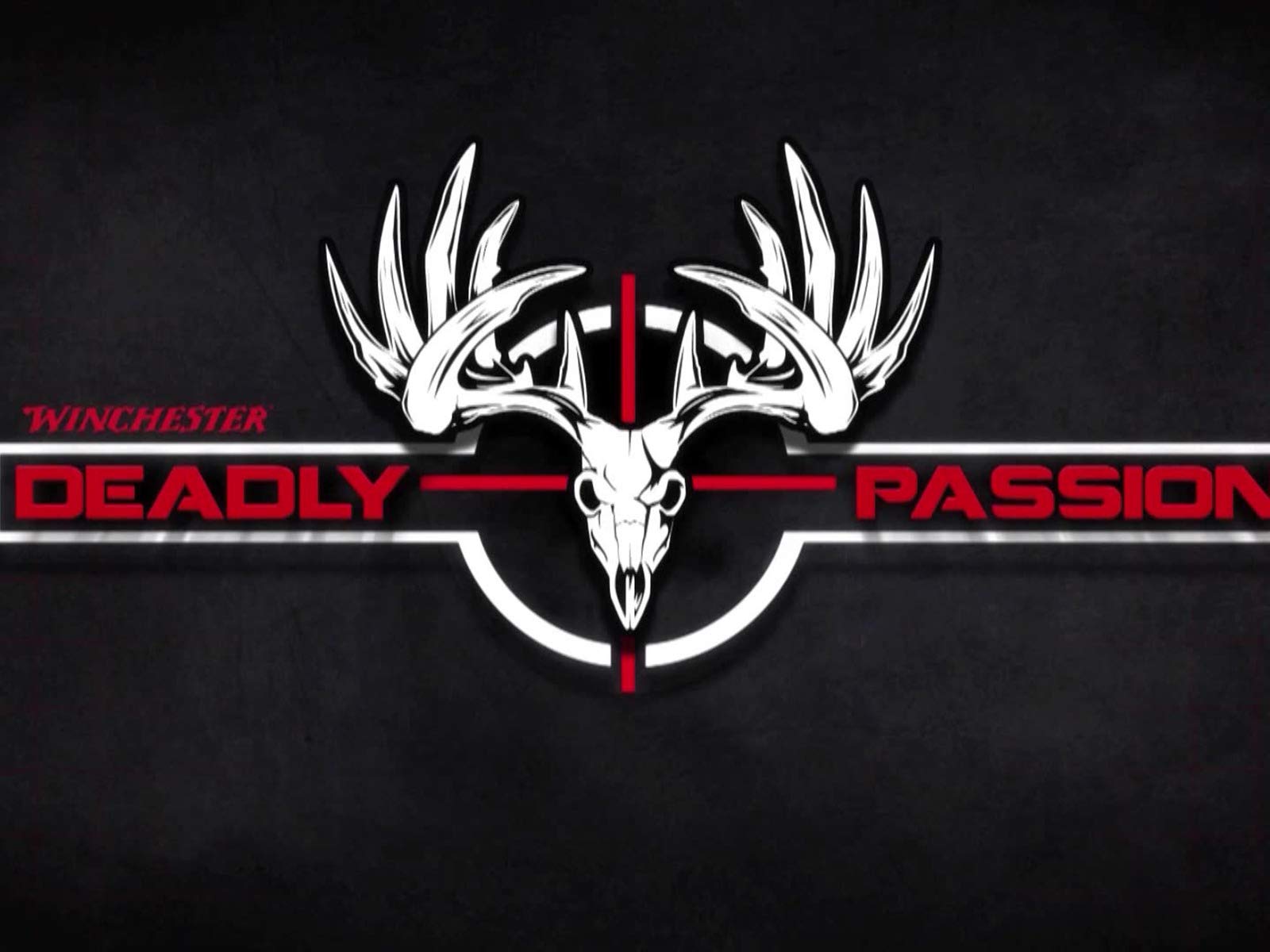 Watch Deadly Passion