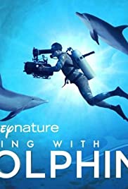 Diving with Dolphins