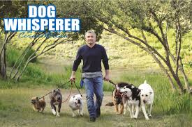 Watch Dog Whisperer with Cesar Millan - Season 1