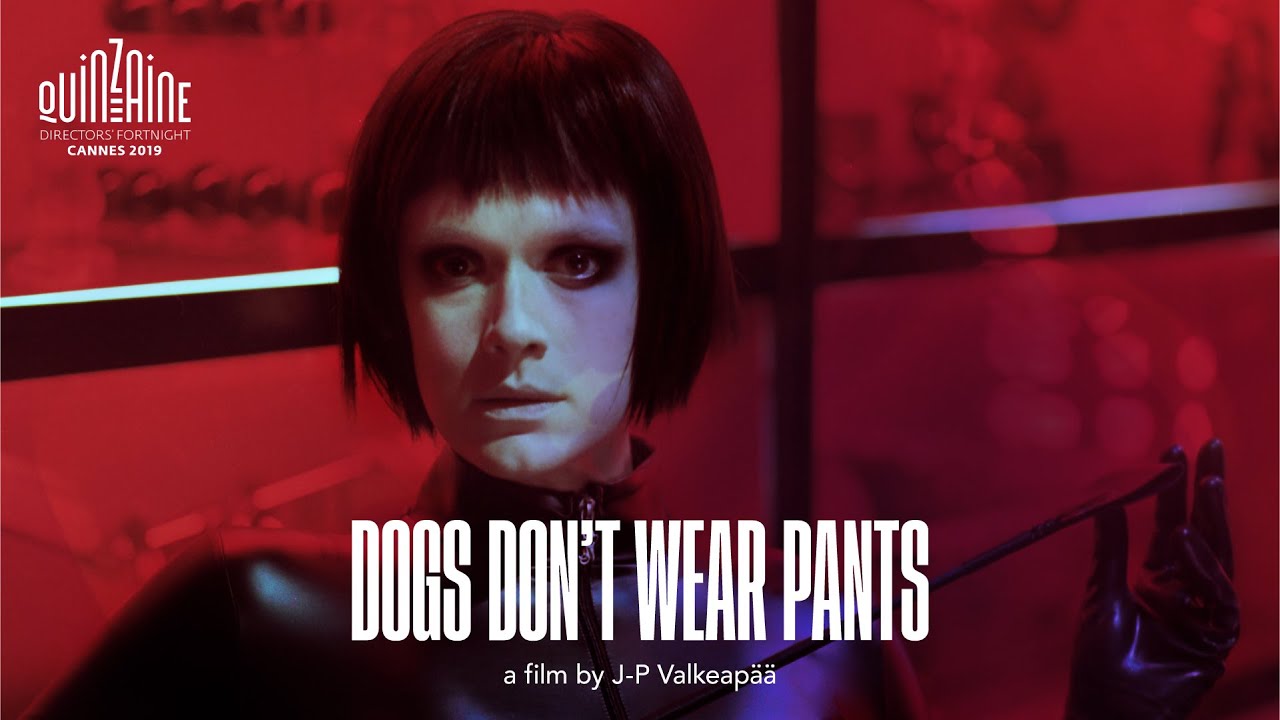 Watch Dogs Don't Wear Pants
