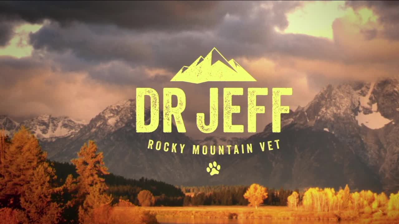 Watch Dr. Jeff: Rocky Mountain Vet - Season 7