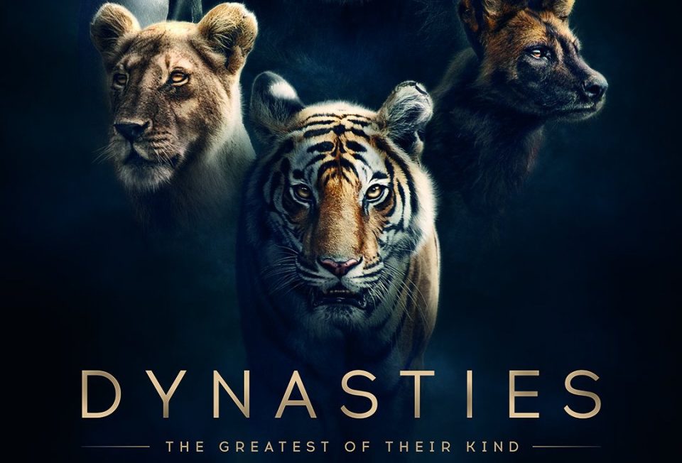 Watch Dynasties - Season 1