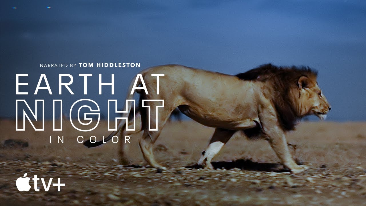 Watch Earth at Night in Color - Season 1