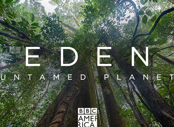 Watch Eden: Untamed Planet - Season 1