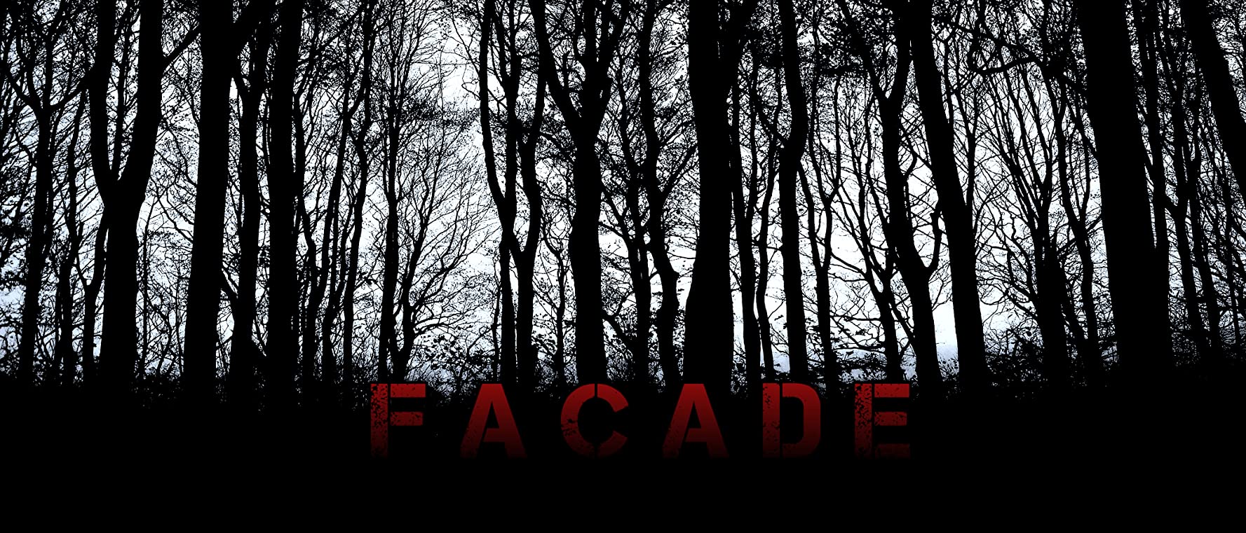 Watch Facade