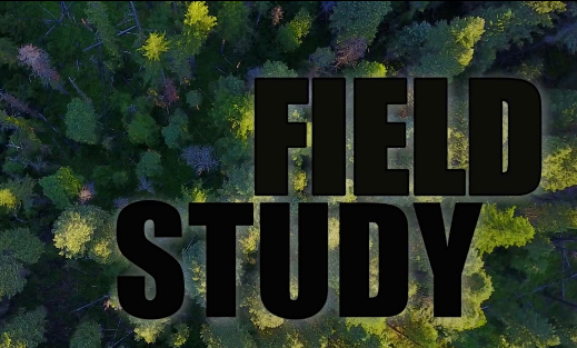 Watch Field Study