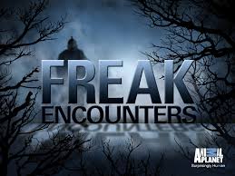 Watch Freak Encounters - Season 1