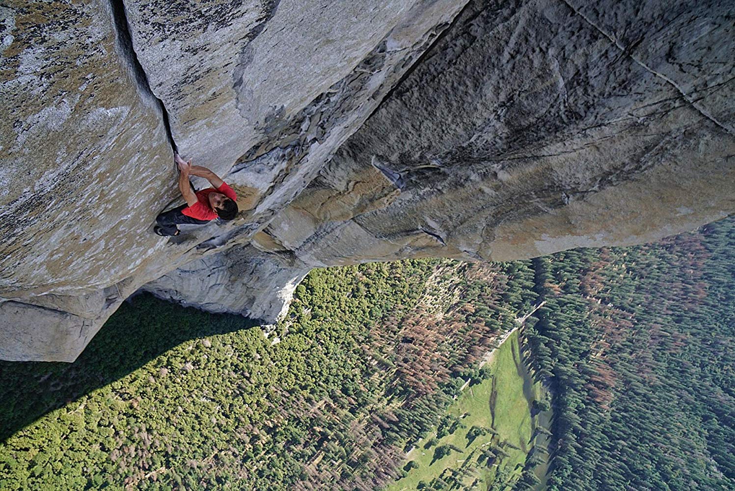 Watch Free Solo