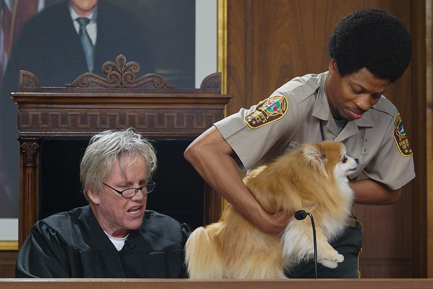 Watch Gary Busey, Pet Judge - Season 1