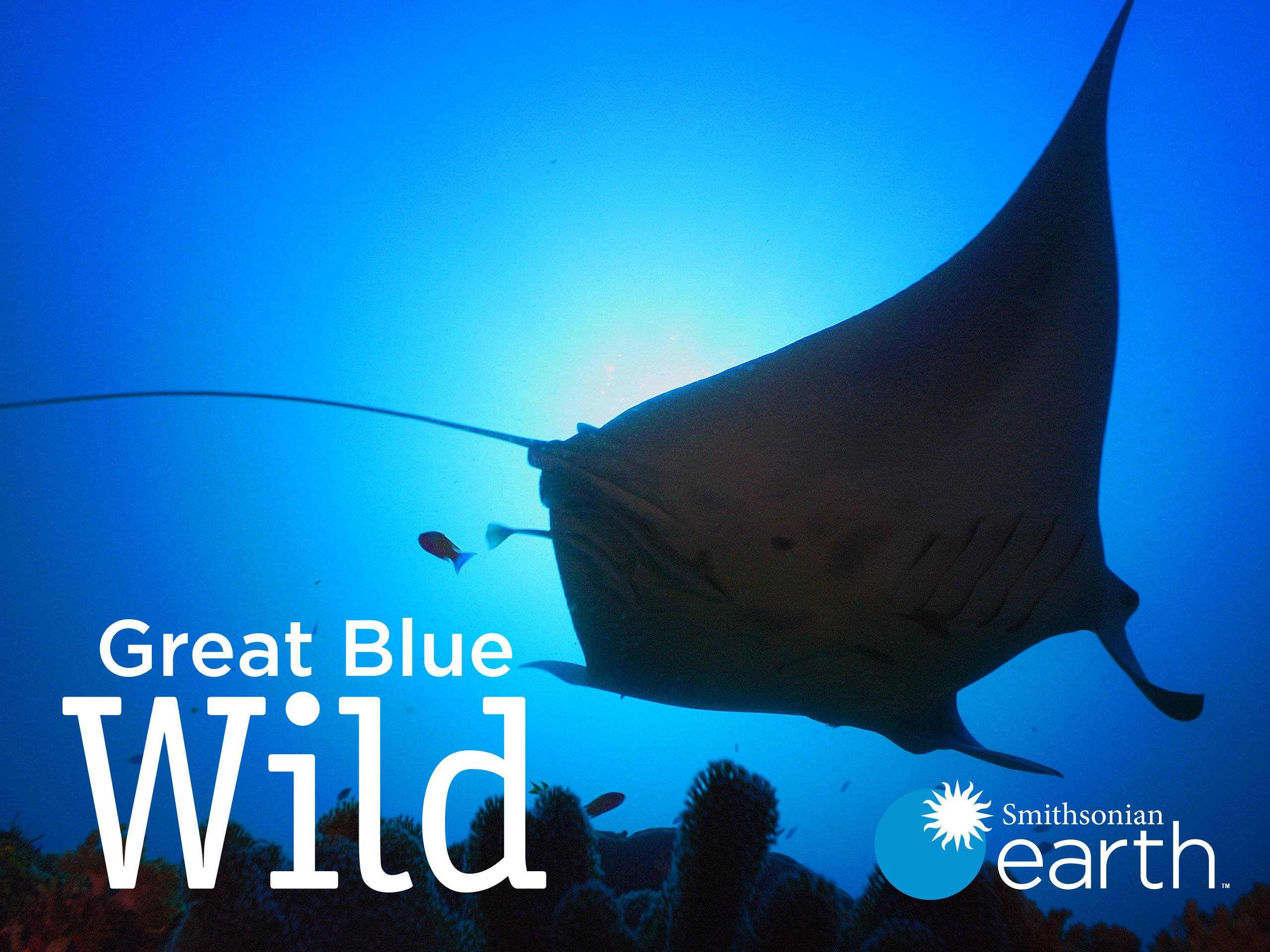 Watch Great Blue Wild - Season 1