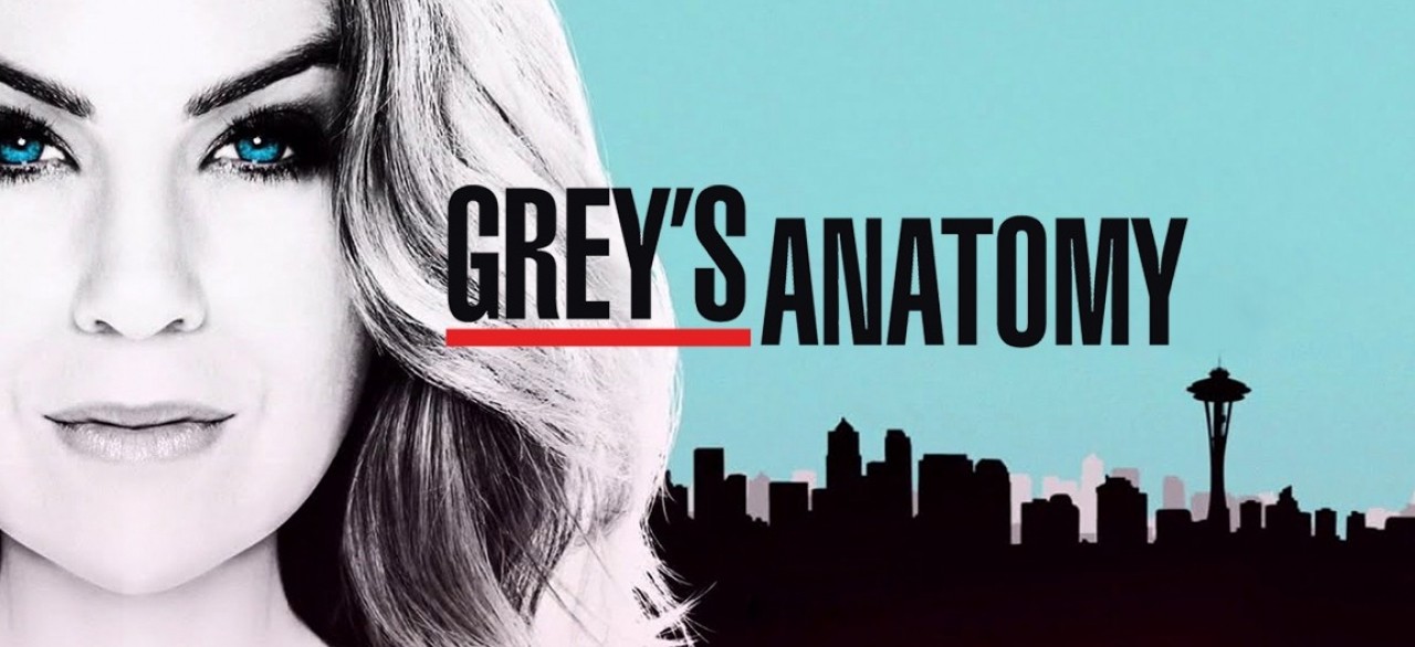 Watch Grey's Anatomy - Season 14