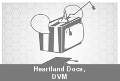 Watch Heartland Docs, DVM - Season 1