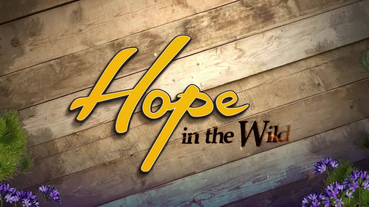 Watch Hope in the Wild - Season 1