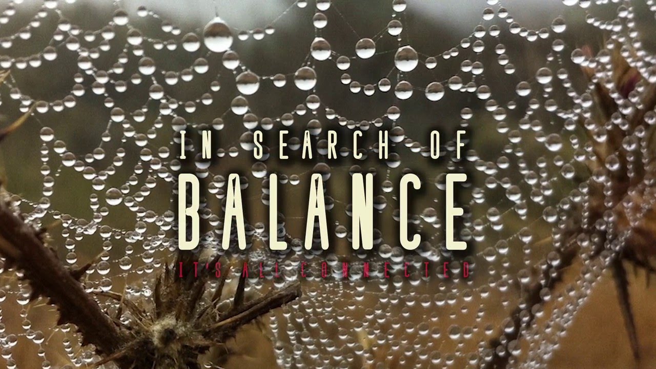 Watch In Search of Balance