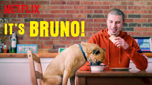 Watch It's Bruno - Season 1