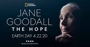Watch Jane Goodall: The Hope