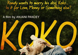 Watch Koko