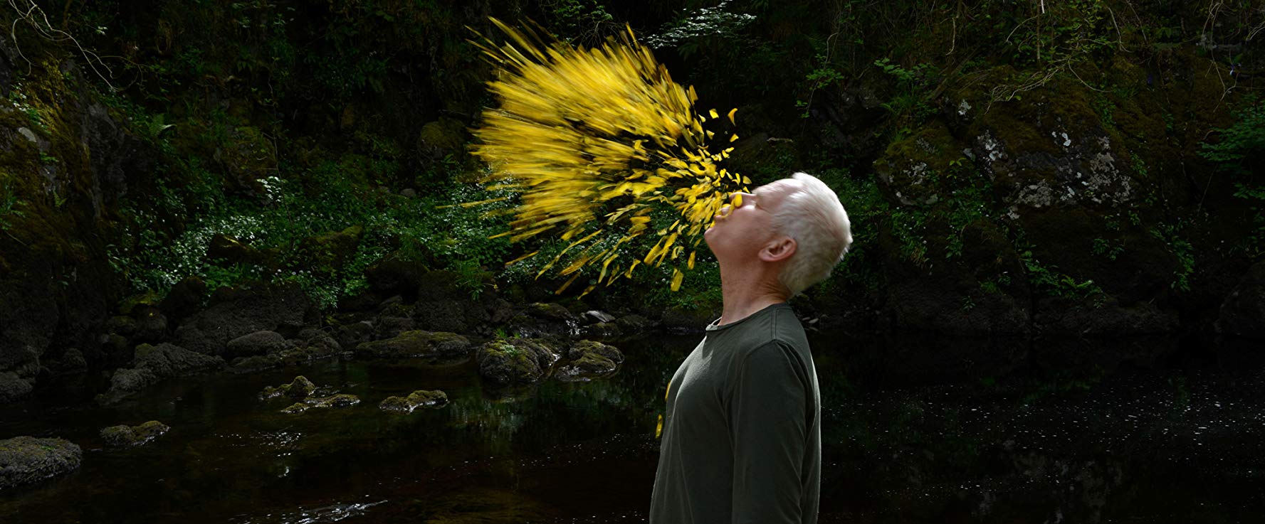 Watch Leaning Into the Wind: Andy Goldsworthy